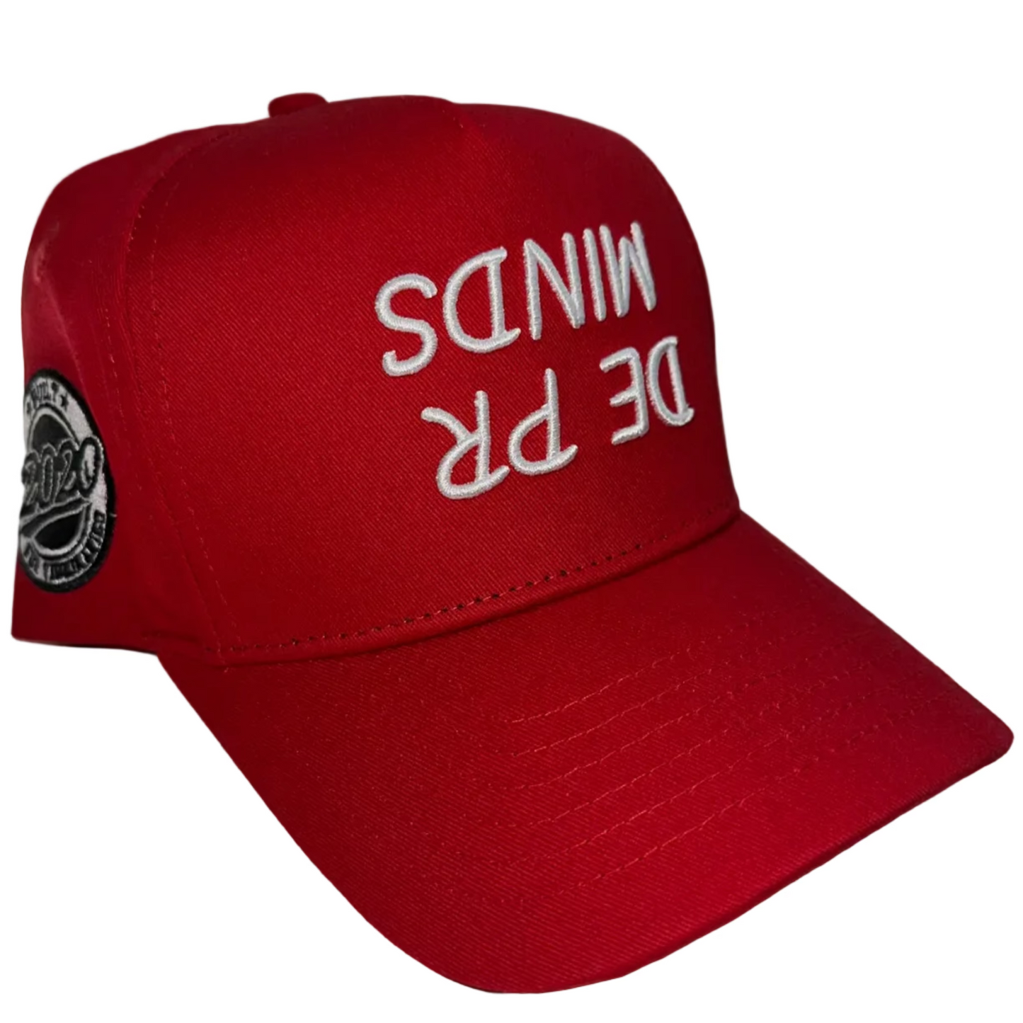 Minds Hat