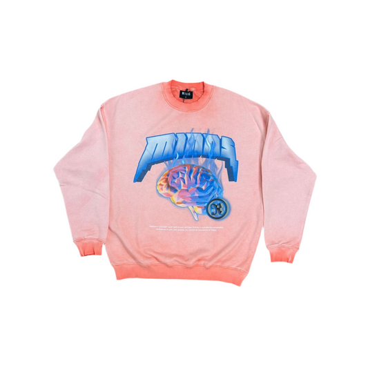 Digital Minds Sweater Peach