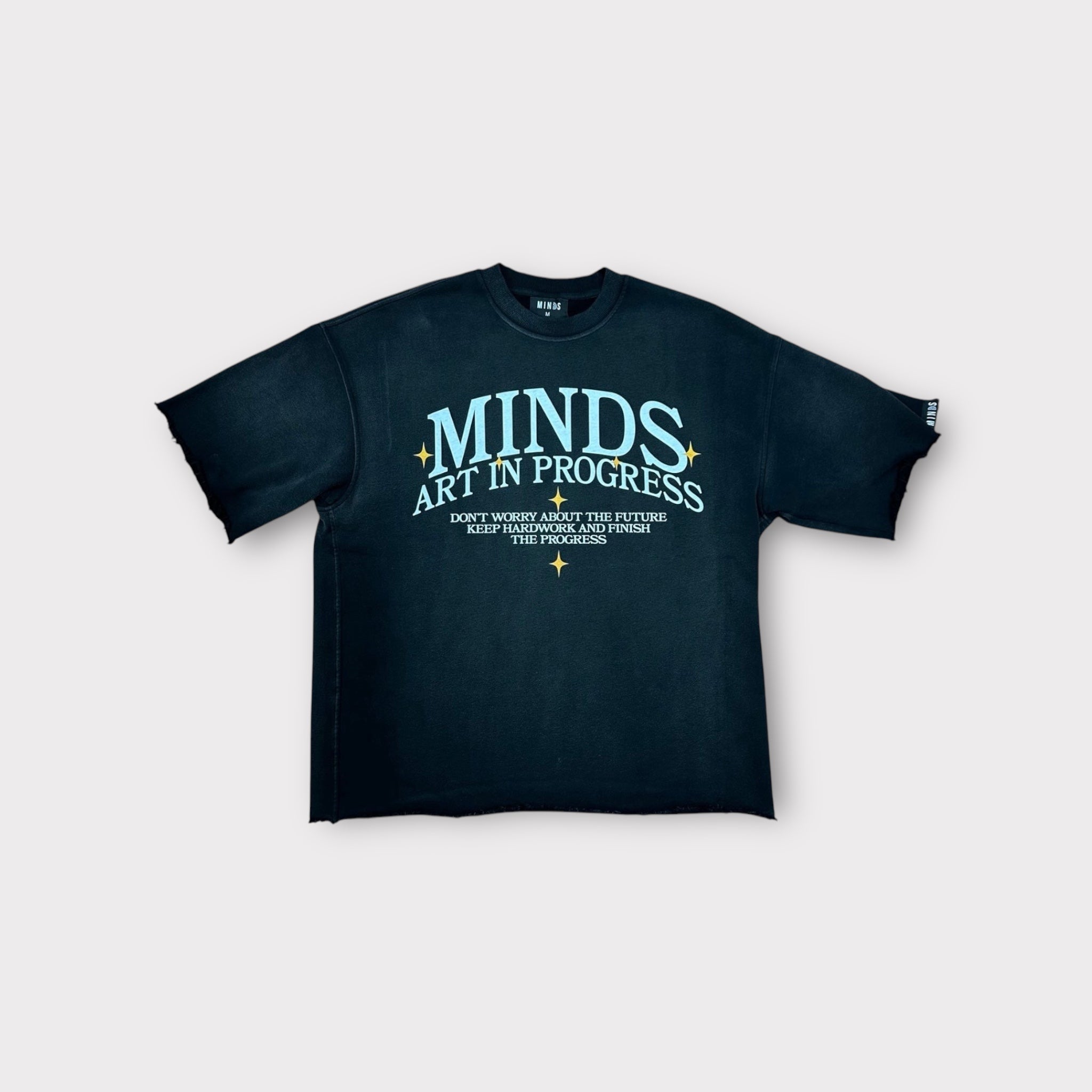 Minds “AIP”