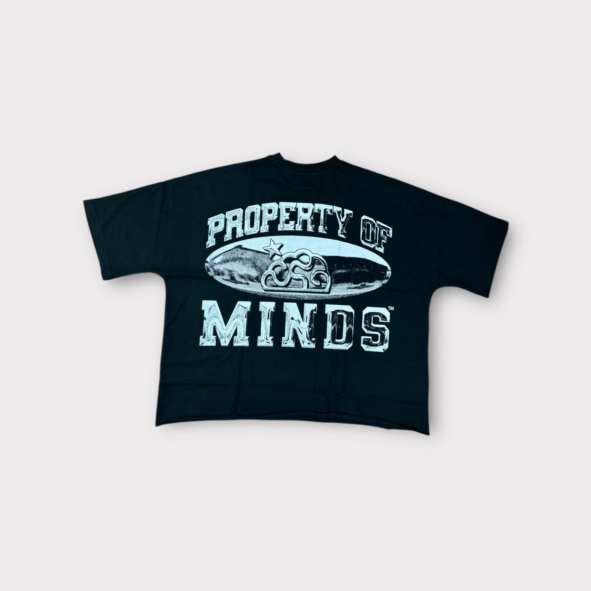 Minds crop tee